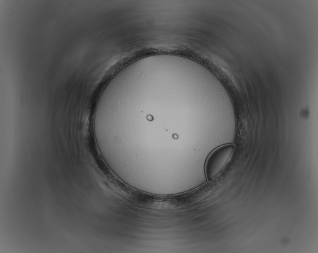 X0000094200596200711241639