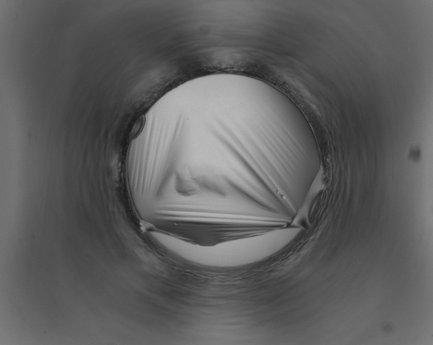 X0000094200597200711241639