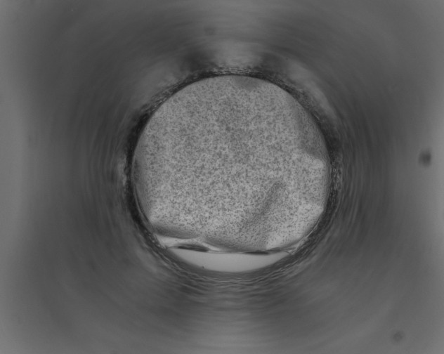 X0000094200599200711241639