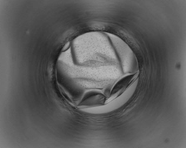 X0000094200600200711241639