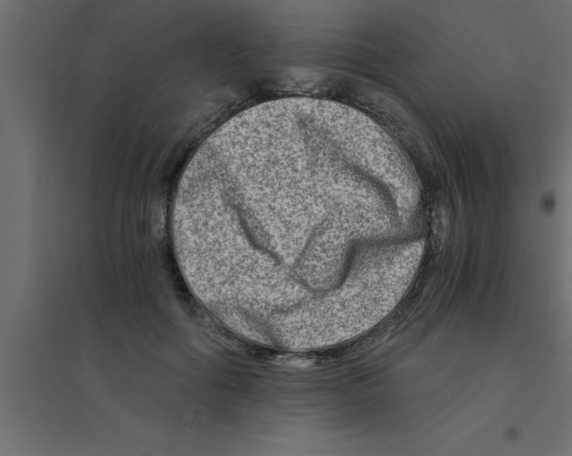 X0000094200602200711241639