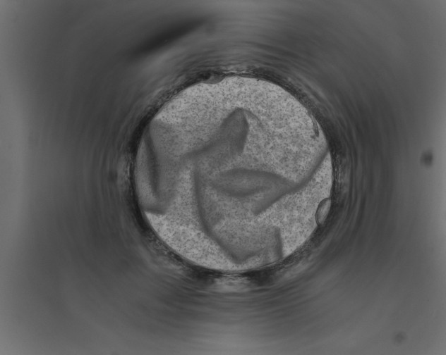 X0000094200603200711241639