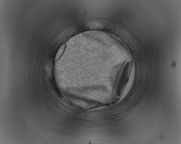 X0000094200604200711241639