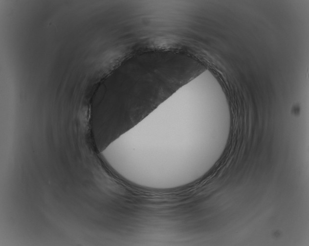 X0000094200605200711241639