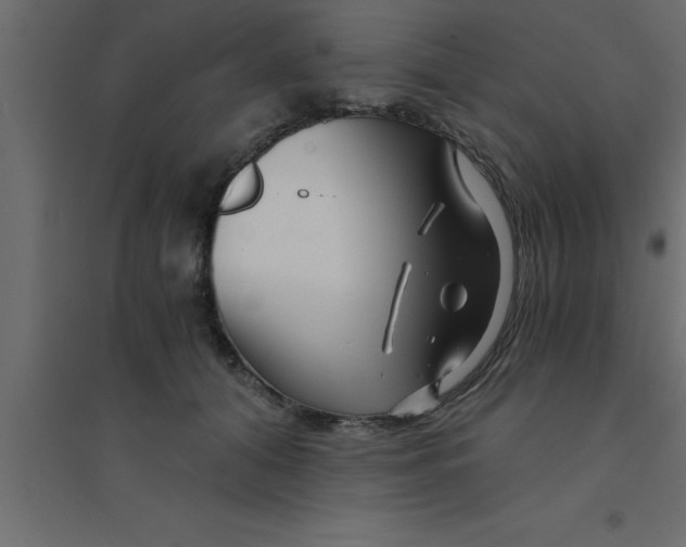 X0000094200608200711241639