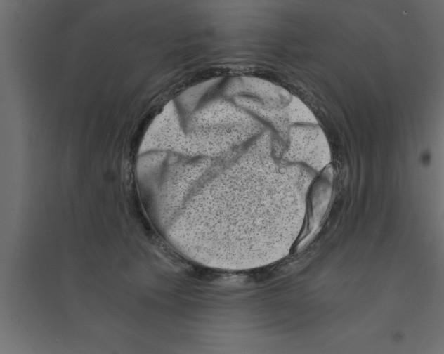 X0000094200609200711241639