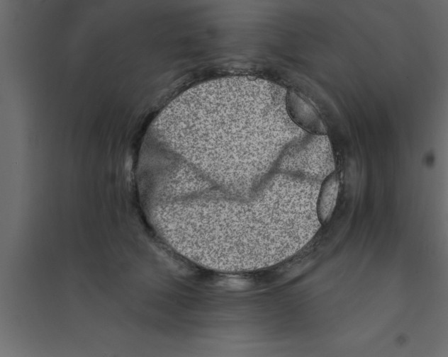 X0000094200610200711241639