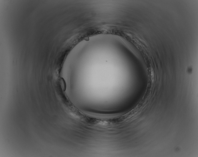 X0000094200611200711241639