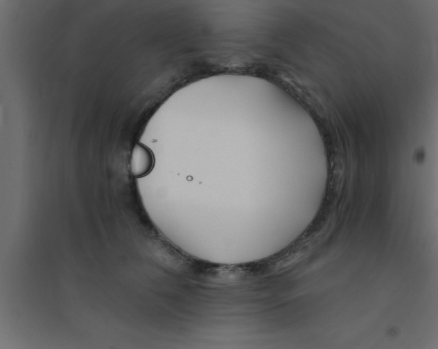 X0000094200612200711241639