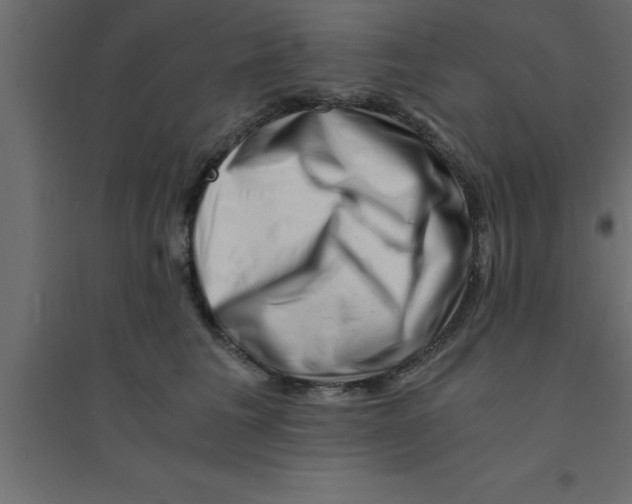 X0000094200613200711241639
