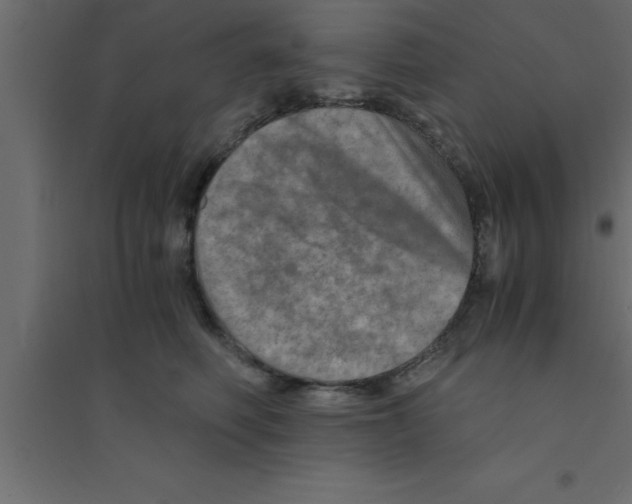 X0000094200614200711241639