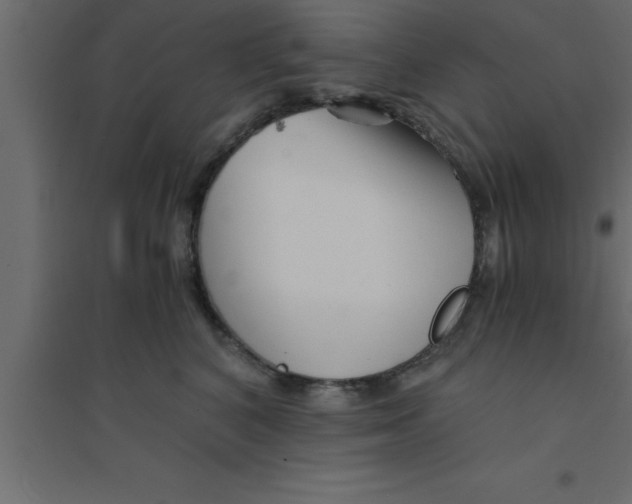 X0000094200616200711241639