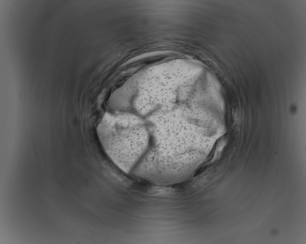 X0000094200617200711241639