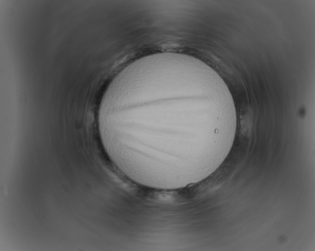 X0000094200618200711241639