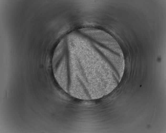 X0000094200619200711241639