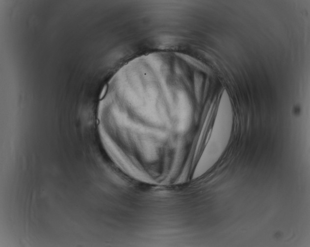 X0000094200620200711241639
