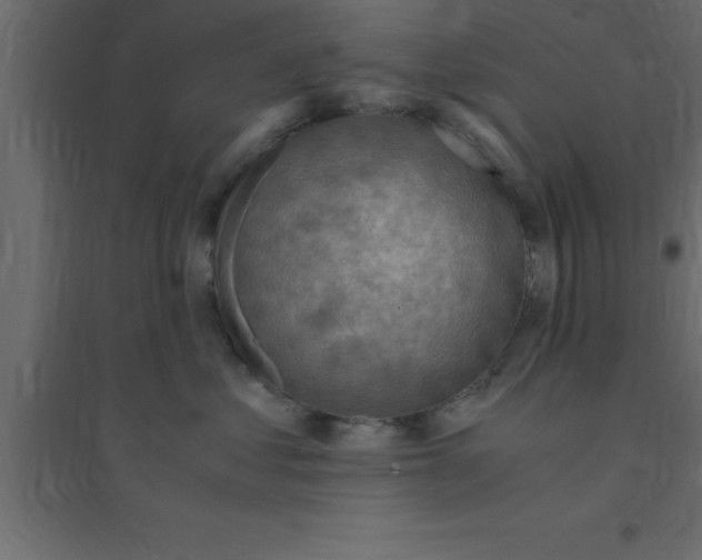 X0000094200621200711241639