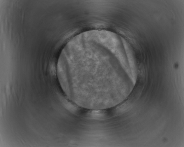 X0000094200622200711241639