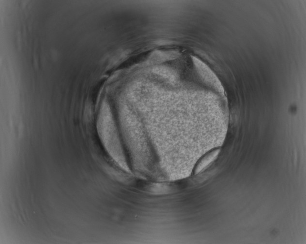 X0000094200623200711241639