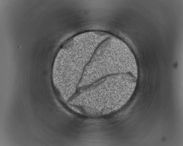 X0000094200625200711241638
