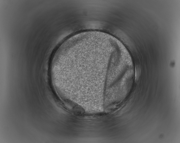 X0000094200627200711241638