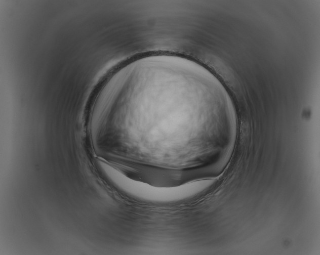 X0000094200628200711241638