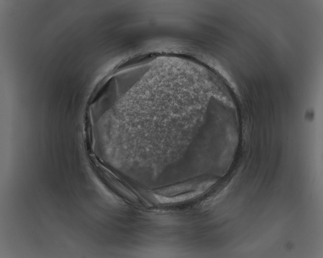 X0000094200629200711241638