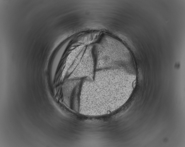 X0000094200630200711241638