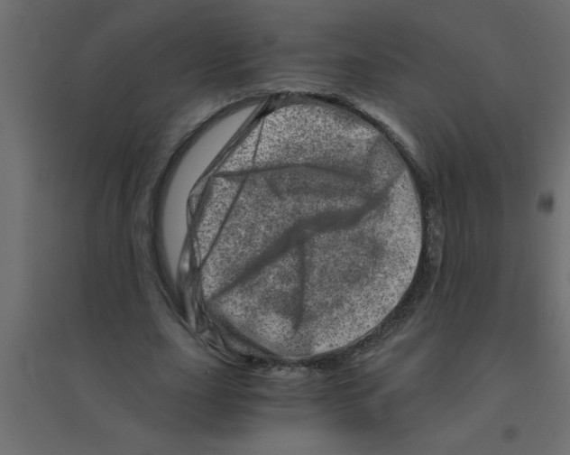X0000094200631200711241638