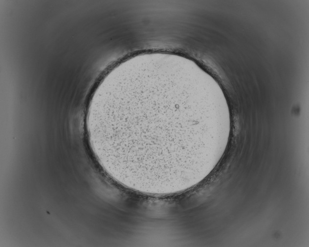 X0000094200632200711241638