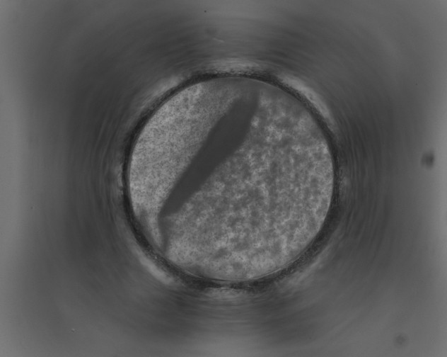 X0000094200633200711241638