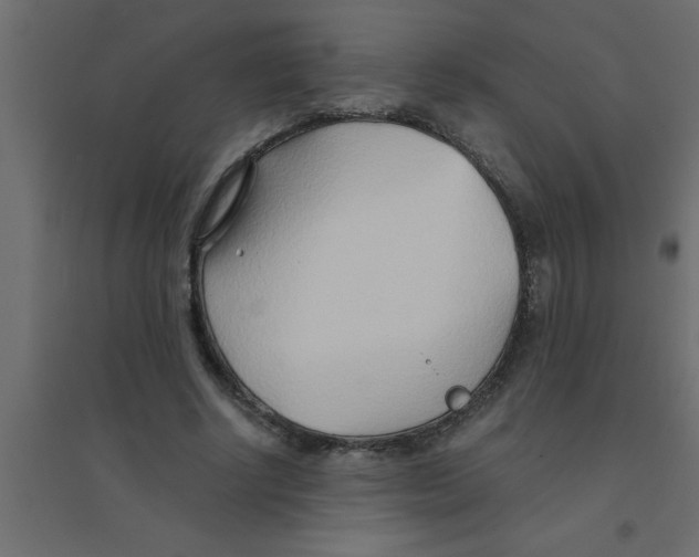 X0000094200634200711241638