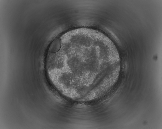 X0000094200635200711241638