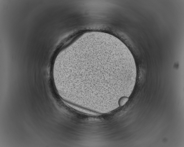 X0000094200636200711241638