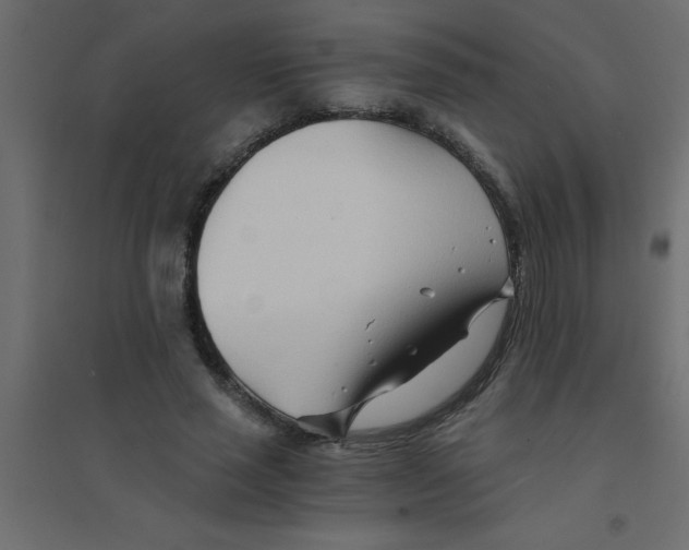 X0000094200637200711241638
