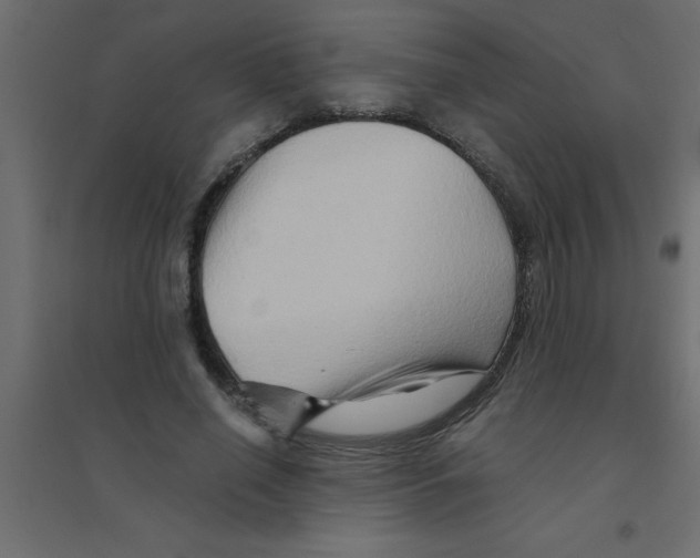 X0000094200638200711241638