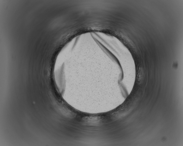X0000094200639200711241638