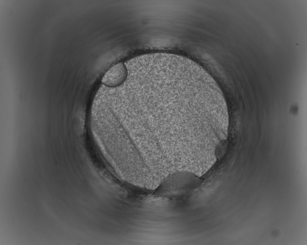 X0000094200640200711241638