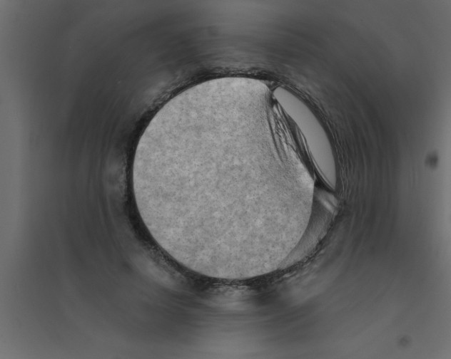 X0000094200642200711241638