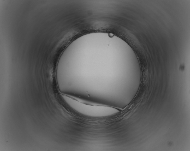 X0000094200644200711241638