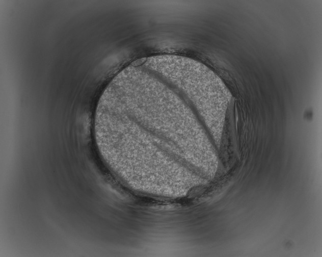 X0000094200646200711241638