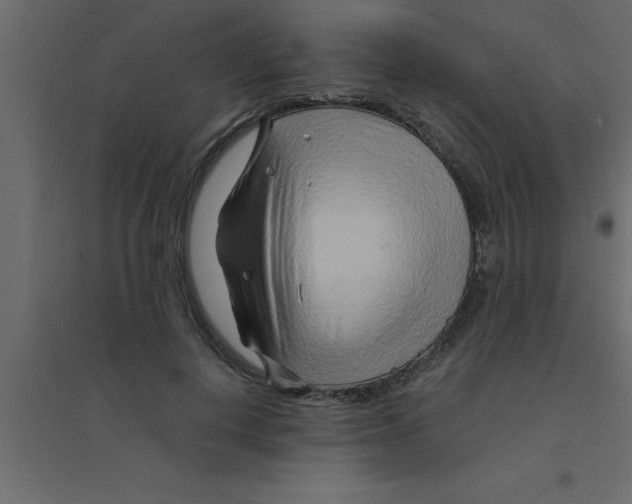 X0000094200648200711241638