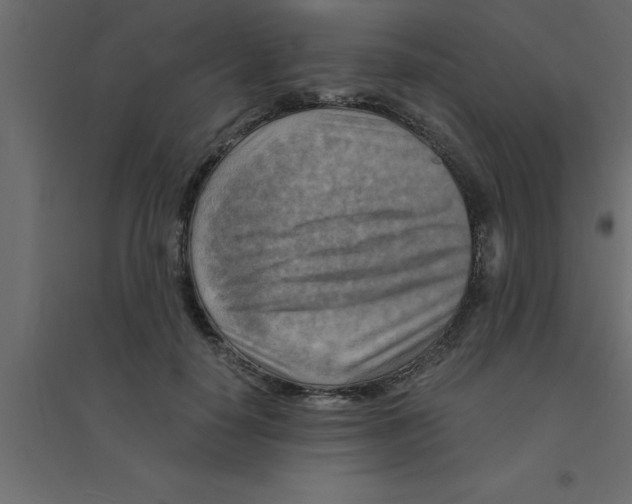 X0000094200650200711241638
