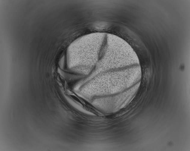 X0000094200651200711241638