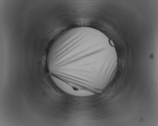 X0000094200652200711241638