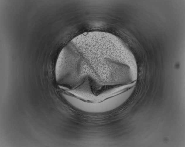 X0000094200653200711241638