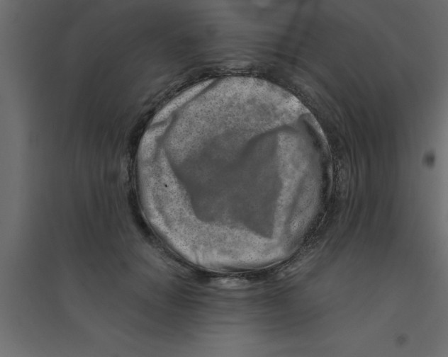 X0000094200654200711241638