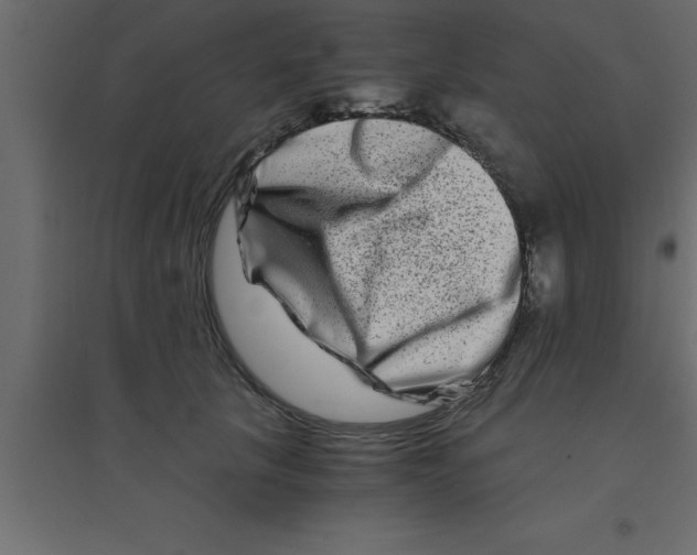 X0000094200657200711241638