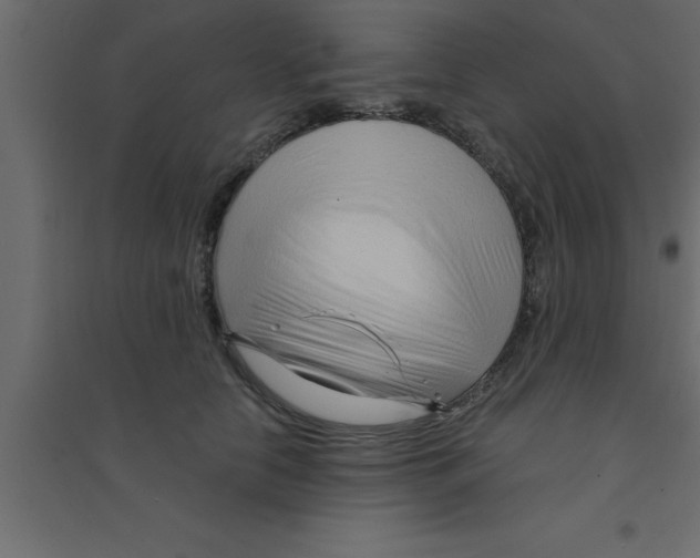 X0000094200658200711241638