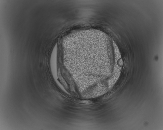 X0000094200659200711241638